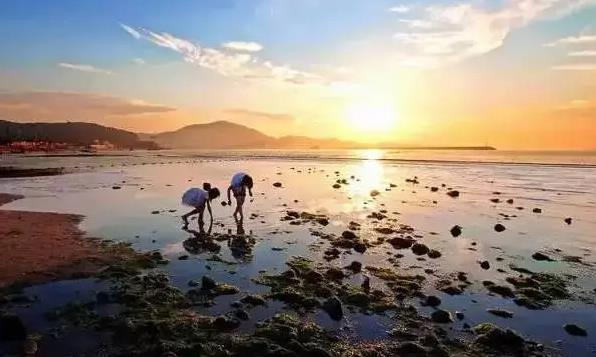 福建東山島趕海潮汐表（8月18日）